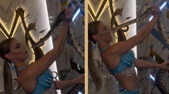 ਵਿਸ਼ਾਲ ਸੱਪ ਨਾਲ ਪੋਜ਼ ਦੇਣ ਦੀ ਕੋਸ਼ਿਸ਼ ਦੌਰਾਨ ਸੱਪ ਨੇ ਰੂਸੀ ਡਾਂਸਰ ਦੇ ਨੱਕ ‘ਤੇ ਵੱਡਿਆ, ਸੋਸ਼ਲ ਮੀਡੀਆ ‘ਤੇ ਮਿਲੀਆਂ ਪ੍ਰਤੀਕਿਰਿਆਵਾਂ