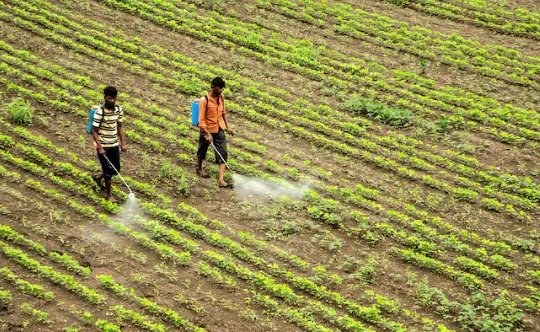 ਬਜਟ 2025: ਵਿਦਿਆਰਥੀਆਂ ਨੇ ਸਿੱਖਿਆ, ਕਿਸਾਨਾਂ ਅਤੇ ਸਮਾਜਿਕ ਸੁਧਾਰਾਂ ‘ਤੇ ਰੱਖੀਆਂ ਆਪਣੀਆਂ ਮੰਗਾਂ