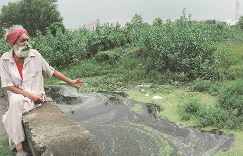 ਕੁਰੂਕਸ਼ੇਤਰ ਯੂਨੀਵਰਸਿਟੀ ‘ਚ ਸਰਸਵਤੀ ਨਦੀ ‘ਤੇ ਤਿੰਨ ਰੋਜ਼ਾ ਅੰਤਰਰਾਸ਼ਟਰੀ ਸੈਮੀਨਾਰ, ਪਾਣੀ ਦੀ ਸਮੱਸਿਆ ਦੇ ਹੱਲ ‘ਤੇ ਵਿਚਾਰ ਚਰਚਾ