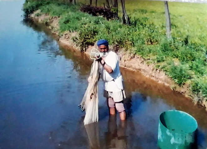 ਪੰਜਾਬ ‘ਚ ਮੱਛੀ ਪਾਲਣ ਦੇ ਖੇਤਰ ‘ਚ ਹੋਇਆ ਮਹੱਤਵਪੂਰਨ ਵਾਧਾ