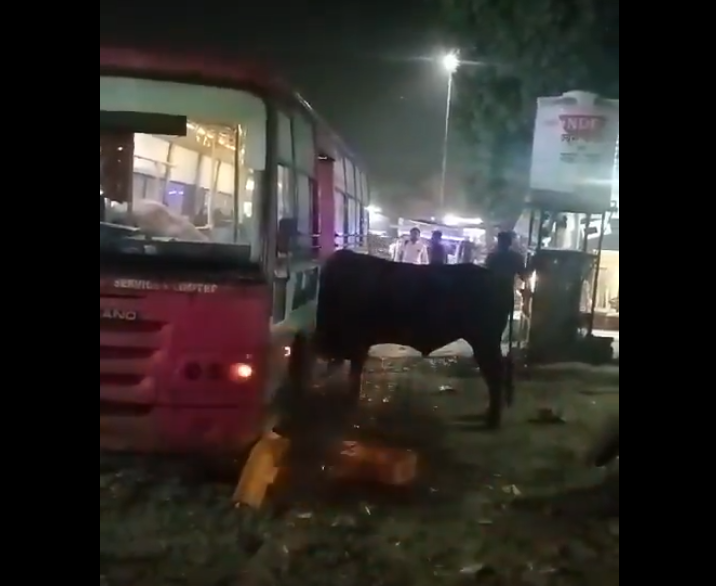 Jaipur ‘ਚ ਯਾਤਰੀਆਂ ਨਾਲ ਭਰੀ ਬੱਸ ‘ਚ ਘੁਸਿਆ ਸਾਂਡ, ਲੋਕਾਂ ਨੇ ਜਾਨ ਬਚਾਣ ਲਈ ਕੀਤੀ ਭਜਦੜ