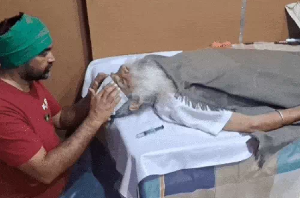 ਖਨੌਰੀ ਬਾਰਡਰ ’ਤੇ 93 ਦਿਨਾਂ ਤੋਂ ਅਨਸ਼ਨ ’ਤੇ ਬੈਠੇ ਜਗਜੀਤ ਸਿੰਘ ਡੱਲੇਵਾਲ ਦੀ ਸਿਹਤ ਖਰਾਬ , 103 ਡਿਗਰੀ ਬੁਖਾਰ