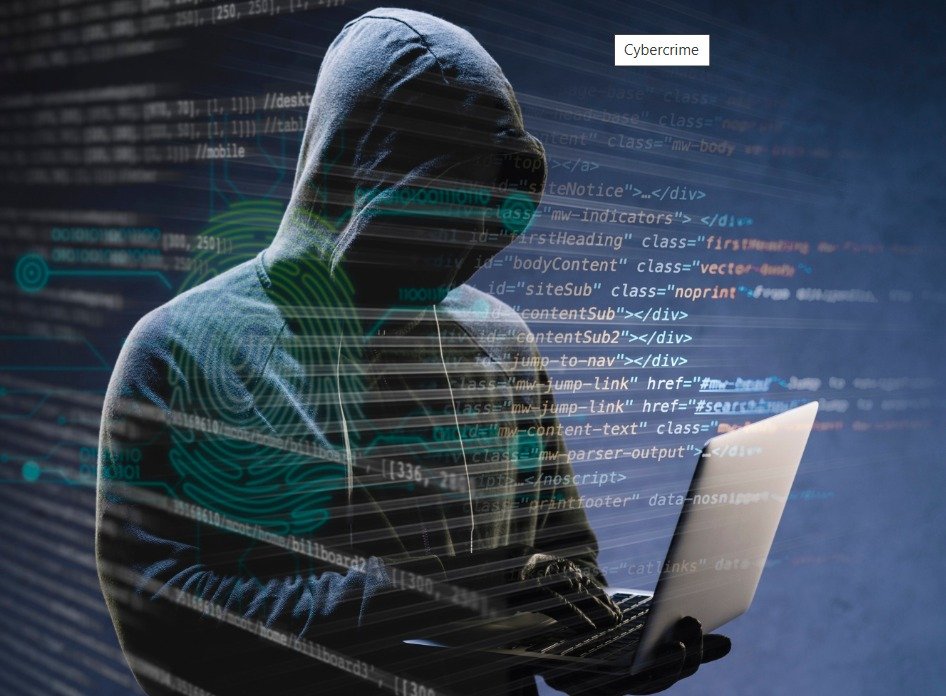 ਪੰਜਾਬ ਵਿੱਚ ਔਨਲਾਈਨ ਅਪਰਾਧ 84% ਵਧੇ, ਸੰਸਦ ਵਿੱਚ ਮੰਤਰੀ ਨੇ ਕਿਹਾ