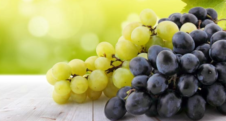 ਹਰੇ ਜਾਂ ਕਾਲੇ, ਕਿਹੜੇ ਰੰਗ ਦੇ ਅੰਗੂਰ ਸਿਹਤ ਲਈ ਜਿਆਦਾ ਫਾਇਦੇਮੰਦ ਇੱਥੇ ਜਾਣੋ