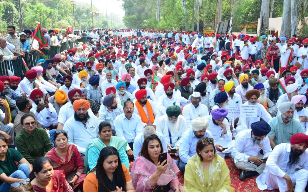 Patiala : ਪੁਲੀਸ ਹਮਲੇ ਦਾ ਸ਼ਿਕਾਰ ਆਰਮੀ ਕਰਨਲ ਦੀ ਪਰਿਵਾਰ ਵੱਲੋਂ ਇਨਸਾਫ ਦੀ ਮੰਗ, ਧਰਨਾ ਸ਼ੁਰੂ