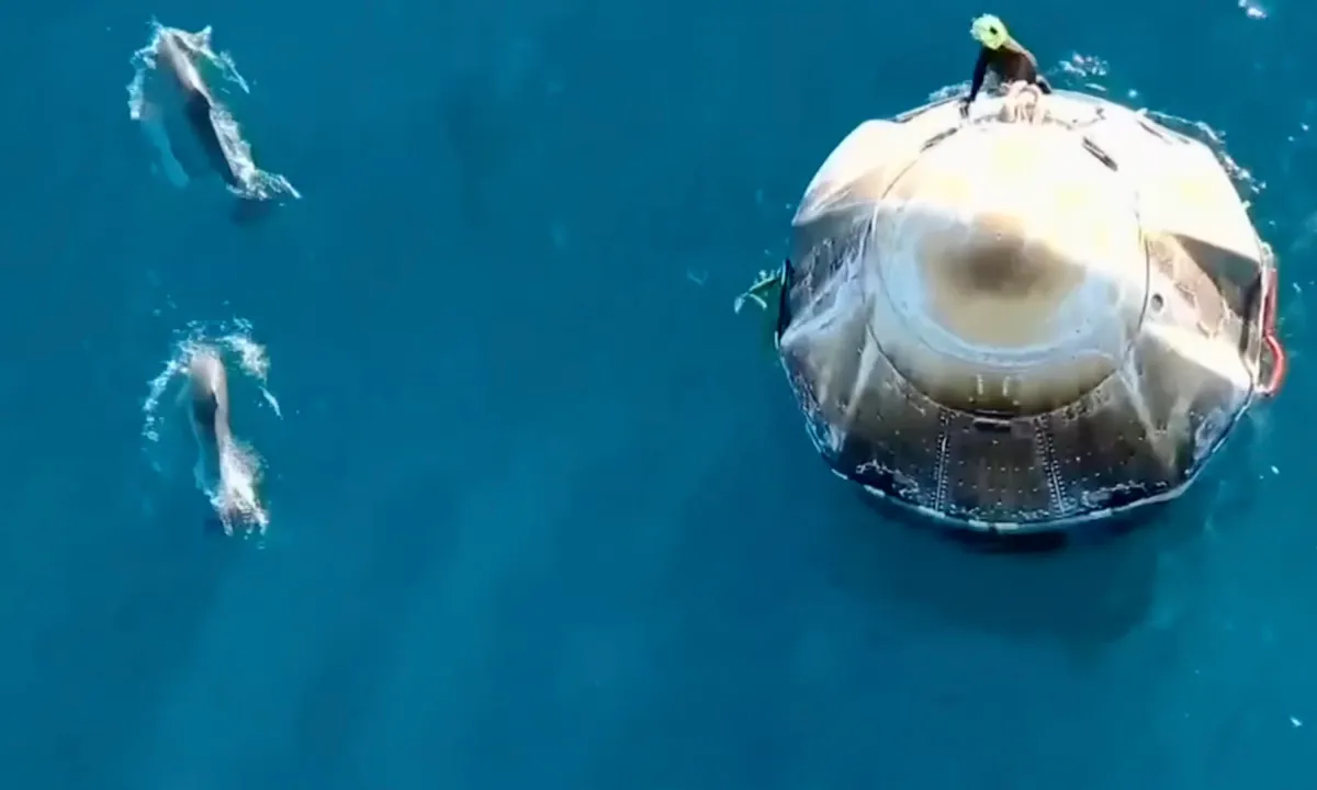 Viral Video: 9 ਮਹੀਨਿਆਂ ਦੀ ਪੁਲਾੜ ਦੀ ਅਜ਼ਮਾਇਸ਼ ਤੋਂ ਬਾਅਦ ਸੁਨੀਤਾ ਵਿਲੀਅਮਜ਼ ਦੇ ਘਰ ਸਵਾਗਤ ਕਰਦੇ ਹੋਏ ਡੌਲਫਿਨ