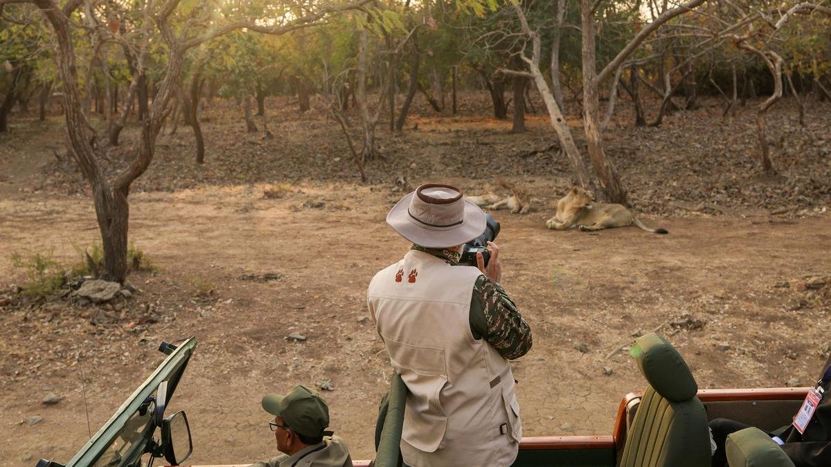 ਹੱਥਾਂ ‘ਚ ਕੈਮਰਾ ਤੇ ਅੱਖਾਂ ‘ਤੇ ਚਸ਼ਮਾ, PM ਮੋਦੀ ਨੇ ਮਾਣਿਆ ਜੰਗਲ ਸਫਾਰੀ ਦਾ ਆਨੰਦ, ਗਿਰ ‘ਚ ਦੇਖੇ ਏਸ਼ੀਆਈ ਸ਼ੇਰ
