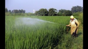 Banned pesticides seized