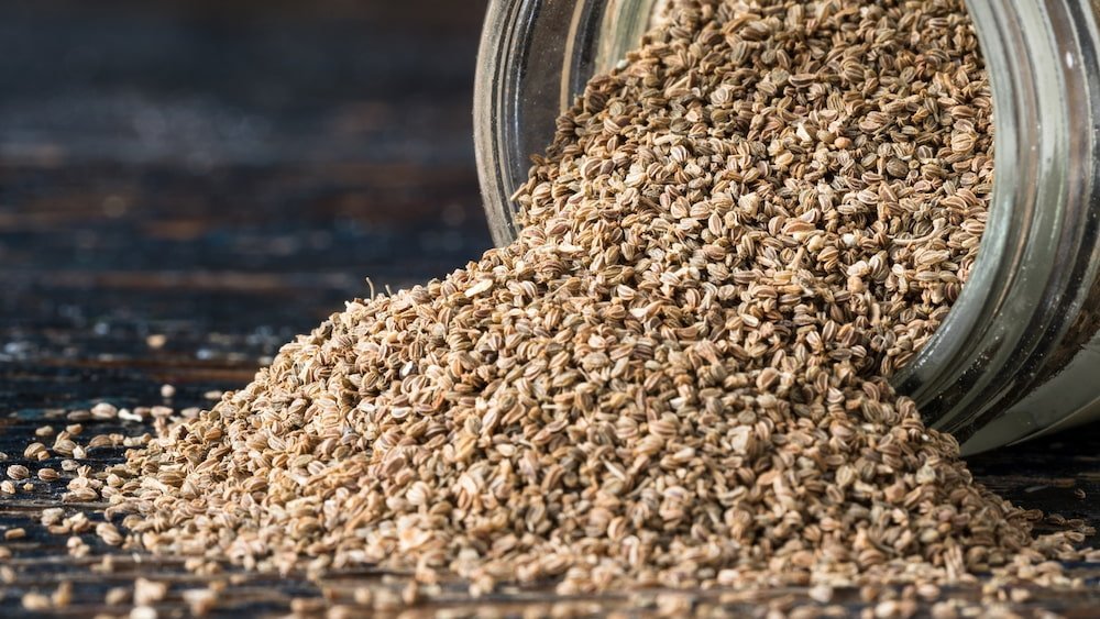 Health Tip ; ਅਜਵਾਇਣ ਖਾਣ ਨਾਲ ਮਿਲਦੀ ਕਈ ਸਮੱਸਿਆਵਾਂ ਤੋਂ ਰਾਹਤ, ਜਾਣੋ ਕਿਵੇਂ