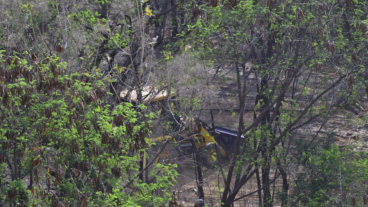 BJP Leader ਨੇ ਦਿੱਲੀ ‘ਚ ਰਾਹੁਲ ਗਾਂਧੀ ਖਿਲਾਫ ਲਗਾਏ ਹੋਰਡਿੰਗ, ਲਿਖਿਆ- ‘ਸਾਡੇ ਜੰਗਲਾਂ ਨੂੰ ਕੱਟਣਾ ਬੰਦ ਕਰੋ’