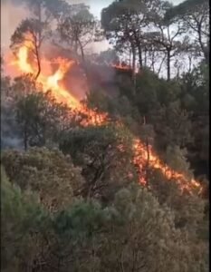 Bad Elements Fire Morni Forest