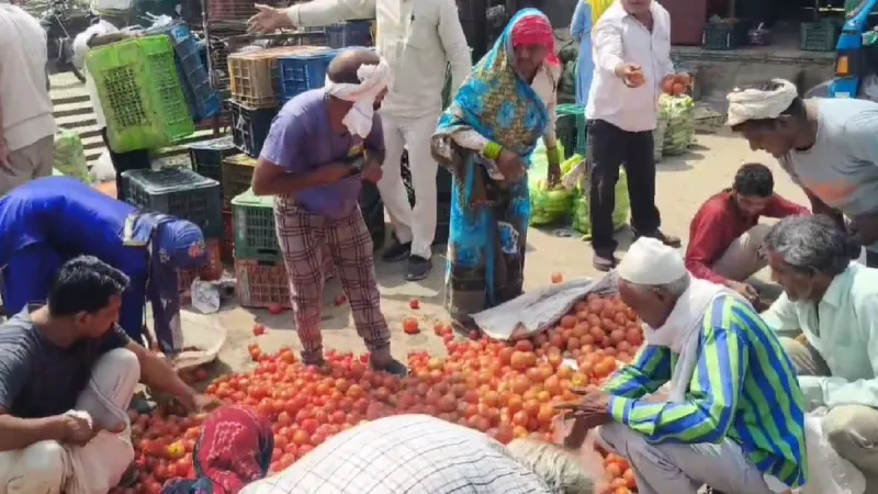 ਪਾਕਿਸਤਾਨ ‘ਚ ਮਹਿੰਗਾ ਹੋਇਆ ਟਮਾਟਰ, 700 ਰੁਪਏ ਤੱਕ ਪਹੁੰਚੀ ਇੱਕ ਕਿਲੋ ਦੀ ਕੀਮਤ