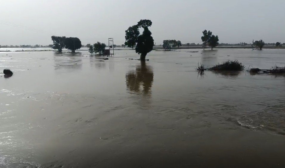 ਮਲੂਕਪੁਰਾ ਨੇੜੇ ਨਹਿਰ ਟੱਟਣ ਕਾਰਨ ਪਿਆ ਕਰੀਬ 200 ਫੁੱਟ ਦਾ ਪਾੜ, ਕਿਸਾਨਾਂ ਨੂੰ ਨੁਕਸਾਨ, ਪਨੀਰੀ ਅਤੇ ਮੋਟਰਾਂ ਪਾਣੀ ‘ਚ ਡੁੱਬੀਆਂ