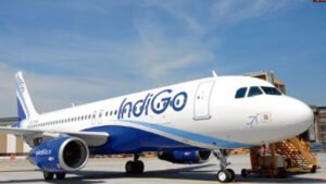 Indigo Travel Advisory