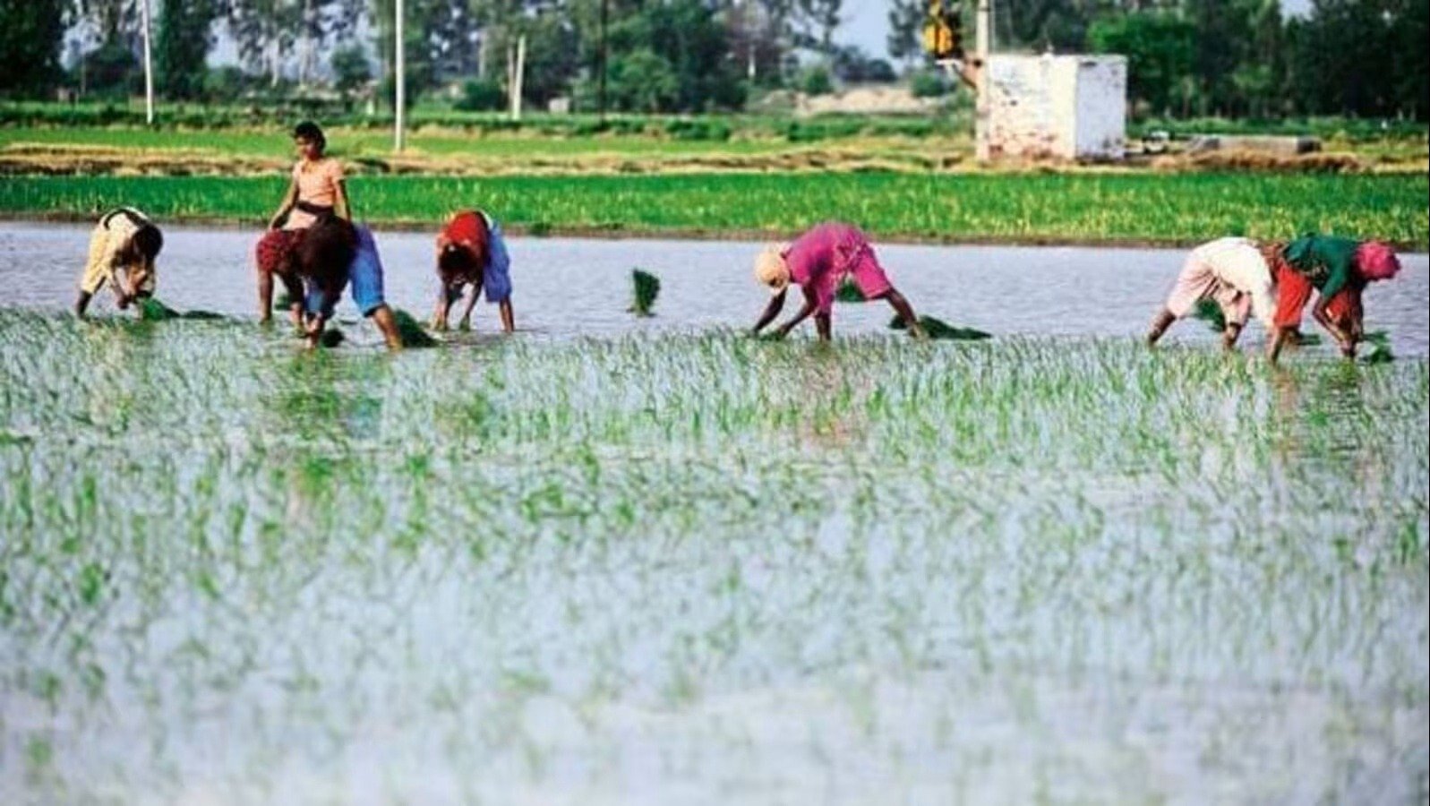 ਕਿਸਾਨਾਂ ਲਈ ਖੁਸ਼ਖਬਰੀ, ਕੇਂਦਰੀ ਮੰਤਰੀ ਮੰਡਲ ‘ਚ ਲਏ ਗਏ ਕਈ ਅਹਿਮ ਫੈਸਲੇ