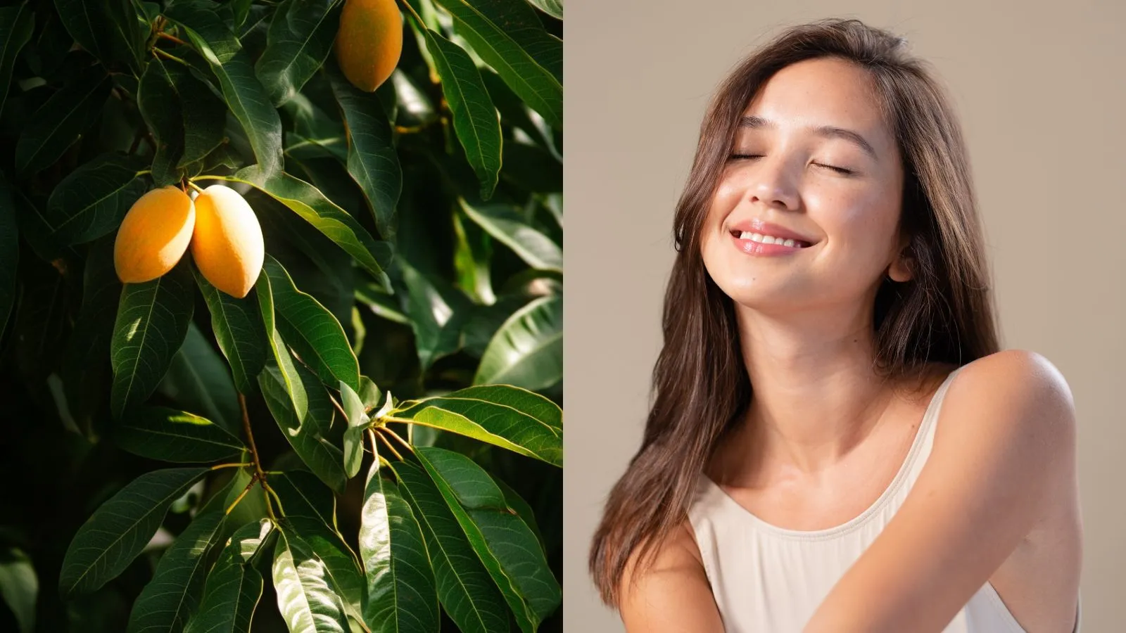 Mango Leaves Face Pack: ਇਹ ਪੈਕ ਚਿਹਰੇ ‘ਤੇ ਲਗਾਇਆ ਜਾਵੇ ਤਾਂ ਚਮੜੀ ਲੰਬੇ ਸਮੇਂ ਤੱਕ ਰਹੇਗੀ ਜਵਾਨ