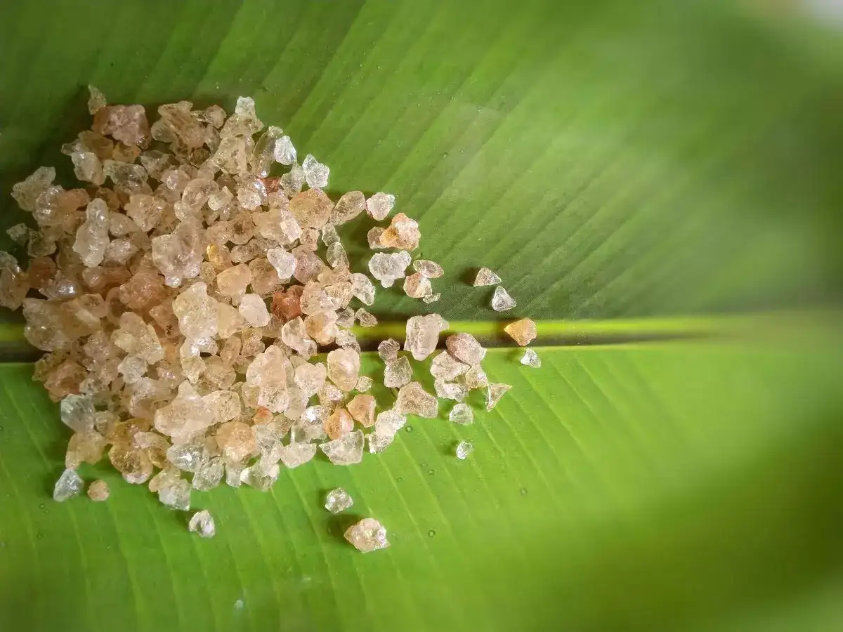 ਗਰਮੀਆਂ ‘ਚ ਇਸ ਤਰੀਕੇ ਨਾਲ ਪੀਓ ਗੋਂਦ ਕਤੀਰਾ ਅਤੇ ਦੁੱਧ