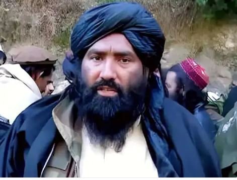 ਭਾਰਤੀ ਹਮਲੇ ‘ਚ ਇਜ਼ਰਾਈਲੀ ਪੱਤਰਕਾਰ ਨੂੰ ਮਾਰਨ ਵਾਲਾ ਅੱਤਵਾਦੀ ਢੇਰ, ਪਾਕਿਸਤਾਨ ਦੇ ਉਪ ਪ੍ਰਧਾਨ ਮੰਤਰੀ ਦਾ ਦਾਅਵਾ – ਭਾਰਤ ਨੇ 36 ਘੰਟਿਆਂ ਵਿੱਚ 80 ਲੜਾਕੂ ਜਹਾਜ਼ਾਂ ਨਾਲ ਕੀਤਾ ਹਮਲਾ