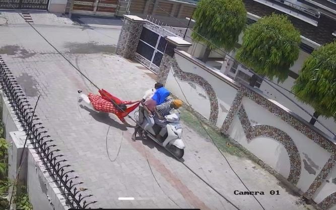 ਪਟਿਆਲਾ ਵਿੱਚ ਔਰਤ ਤੋਂ ਹੋਈ ਲੁੱਟ, ਐਕਟਿਵਾ ਸਵਾਰ ਬਦਮਾਸ਼ਾਂ ਨੇ ਗਲੀ ਵਿੱਚ ਘਸੀਟਿਆ