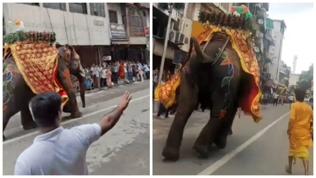 जगन्नाथ यात्रा में DJ की आवाज से बेकाबू हुए 3 हाथी, मची अफरातफरी