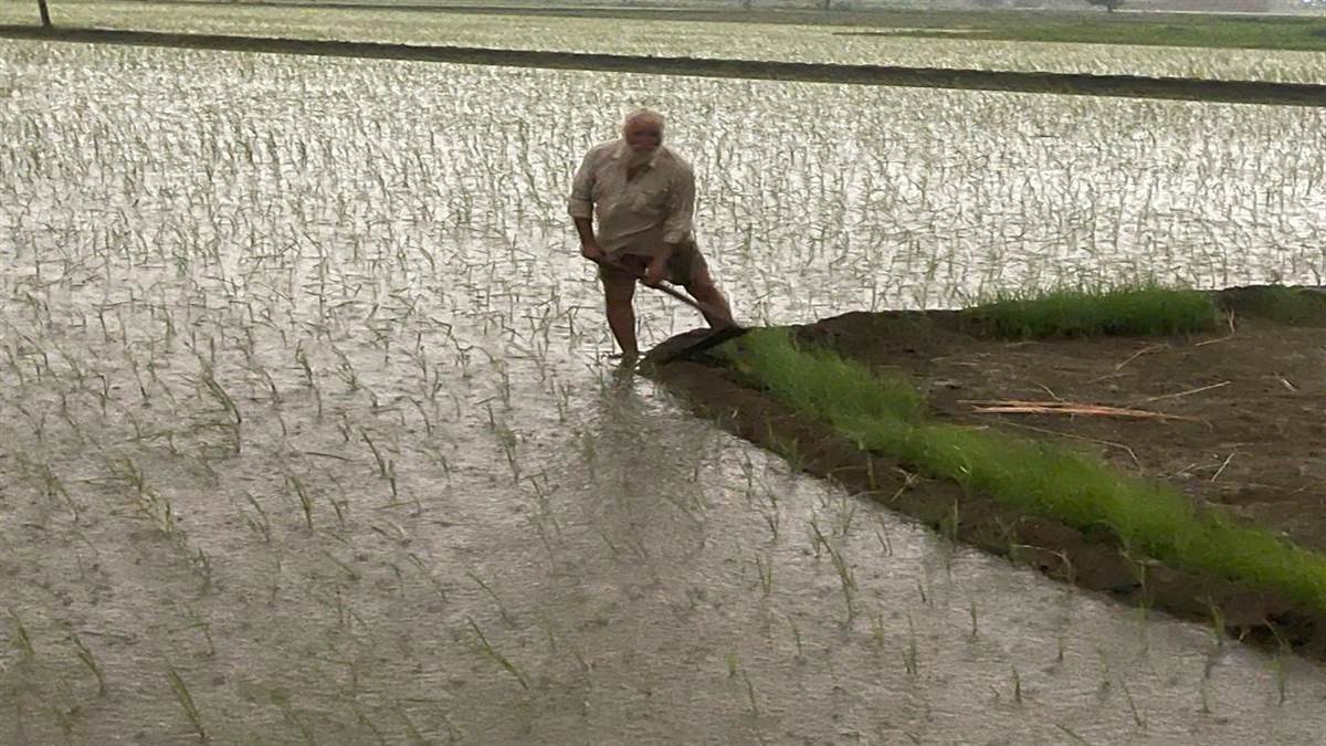 ਪੰਜਾਬ ‘ਚ ਲੋਕਾਂ ਨੂੰ ਮਿਲੇਗੀ ਗਰਮੀ ਤੋਂ ਰਾਹਤ, ਐਂਟਰੀ ਲੈ ਸਕਦਾ ਹੈ ਮਾਨਸੂਨ, ਪੂਰਾ ਹਫ਼ਤਾ ਮੀਂਹ ਪੈਣ ਦੀ ਸੰਭਾਵਨਾ