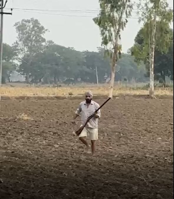 ਨੌਜਵਾਨ ਨੇ ਕੀਤਾ ਹਵਾਈ ਫਾਇਰ, ਵੀਡੀਓ ਹੋਈ ਵਾਇਰਲ ਹੋਈ ਤਾਂ ਪੁਲਿਸ ਨੇ ਕੀਤਾ ਗ੍ਰਿਫ਼ਤਾਰ