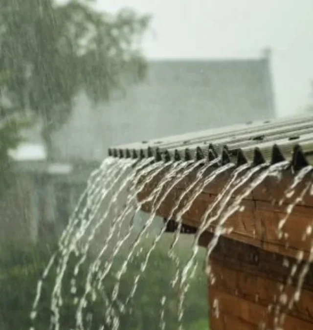 Reasons of skin allergies in monsoon