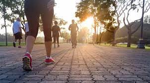 Health Tips: ਇਹ ਕੰਮ ਸਿਰਫ਼ 15 ਮਿੰਟ ਲਈ ਕਰੋ, ਕੋਈ ਵੀ ਬਿਮਾਰੀ ਤੁਹਾਡੇ ਆਲੇ-ਦੁਆਲੇ ਨਹੀਂ ਜਾਵੇਗੀ