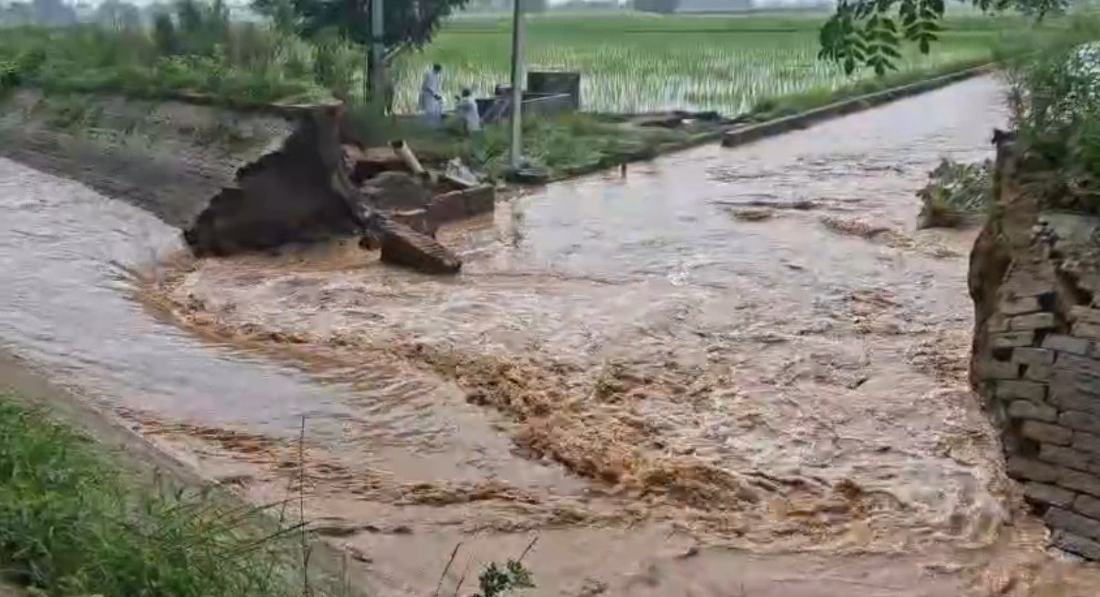 ਬਠਿੰਡਾ ‘ਚ ਦੋ ਦਿਨਾਂ ਵਿੱਚ ਦੂਜੀ ਵਾਰ ਟੁੱਟਿਆ ਰਜਬਾਹਾ, ਕਈ ਏਕੜ ਫਸਲ ਹੋਈ ਤਬਾਹ, ਪਿੰਡਵਾਸੀਆਂ ਨੇ ਨਹਿਰੀ ਵਿਭਾਗ ‘ਤੇ ਲਗਾਇਆ ਇਲਜ਼ਾਮ