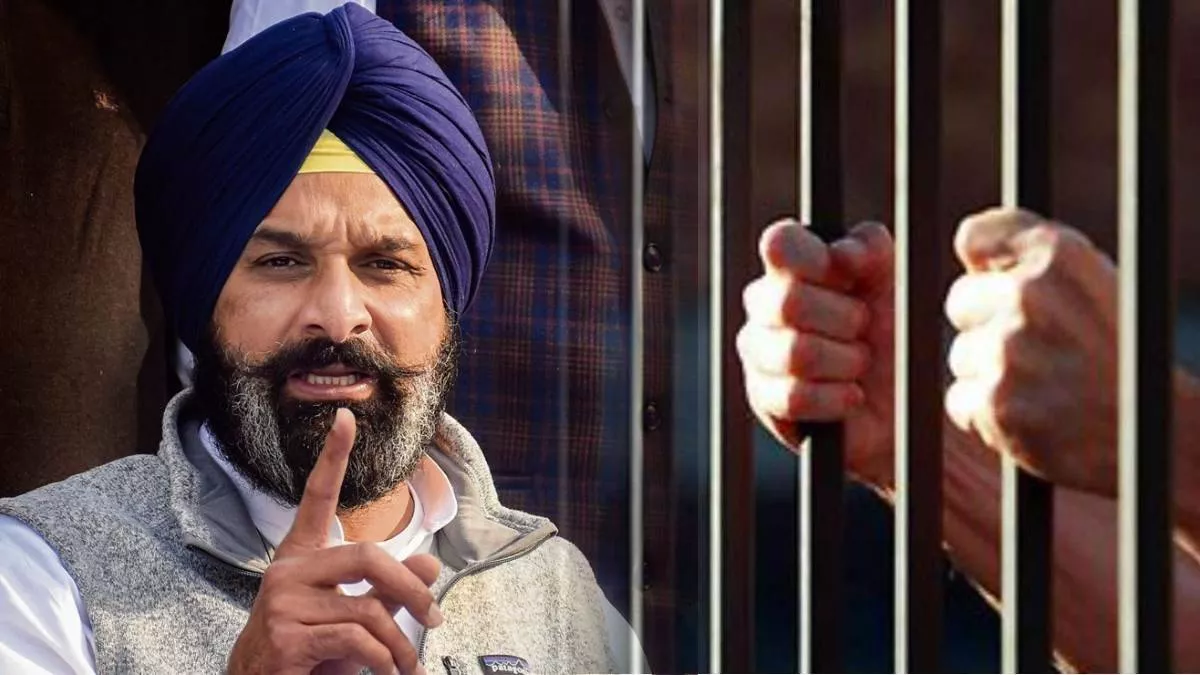 Big Breaking: ਮਜੀਠੀਆ ਨੂੰ ਪੰਜਾਬ-ਹਰਿਆਣਾ ਹਾਈ ਕੋਰਟ ਤੋਂ ਨਹੀਂ ਮਿਲੀ ਜ਼ਮਾਨਤ