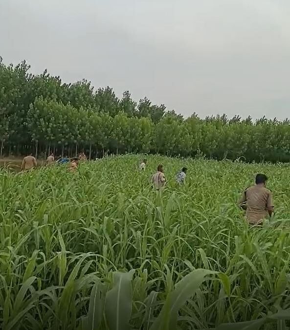 ਯਮੁਨਾਨਗਰ ਗੈਂਗਸਟਰਾਂ ਅਤੇ ਪੁਲਿਸ ਵਿਚਕਾਰ Encounter, ਖੇਤਾਂ ‘ਚ ਲੁਕੇ ਗੈਂਗਸਟਰਾਂ ਦੀ ਭਾਲ ਜਾਰੀ