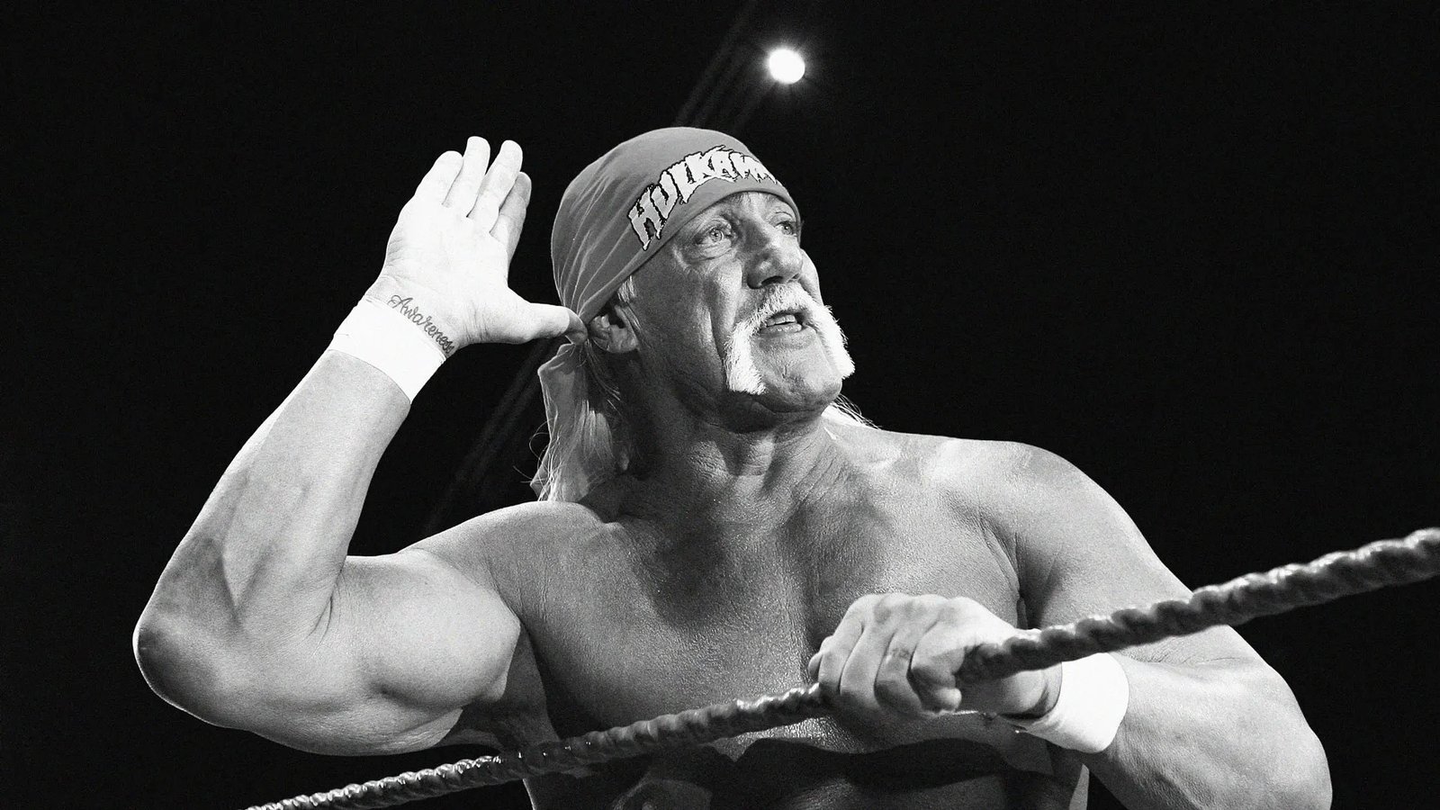 शोक में डूबा WWE, 71 साल की उम्र में Hulk Hogan की मौत