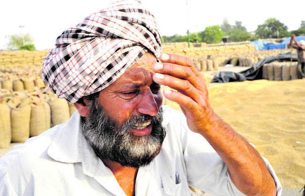 ਕਰਜ਼ੇ ਵਿੱਚ ਡੁੱਬਿਆ ਅੰਨ੍ਹਦਾਤਾ; ਪੰਜਾਬ ਦੇ ਕਿਸਾਨਾਂ ਸਿਰ 1 ਲੱਖ ਕਰੋੜ ਰੁਪਏ ਦਾ ਹੈ ਕਰਜ਼ਾ