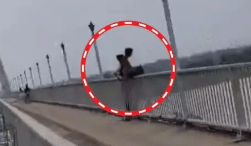 Prayagraj: नैनी पुल से प्रेमी-प्रेमिका ने लगाई छलांग, VIDEO:जल विभाग और गोताखोर रेस्क्यू में जुटे