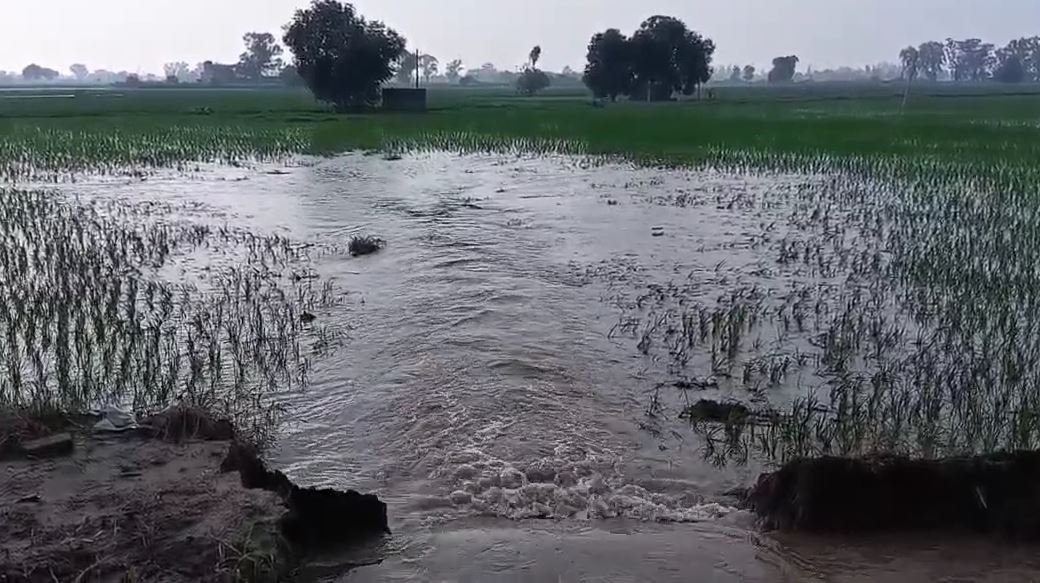 ਸੂਏ ’ਚ ਪਿਆ ਚਾਲੀ ਫ਼ੁਟ ਦਾ ਪਾੜ, 100 ਏਕੜ ਫ਼ਸਲ ਡੁੱਬੀ