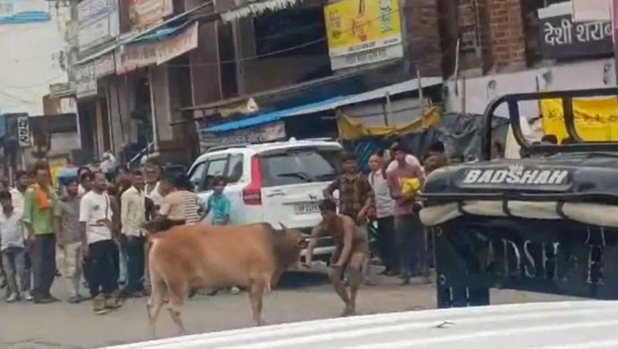 ਸੜਕ ਵਿਚਕਾਰ ਹੋਈ ਸਾਂਡ ‘ਤੇ ਨੌਜਵਾਨ ਦੀ ਕੁਸ਼ਤੀ, ਦੋਵਾਂ ‘ਚ ਹੋਈ ਅਜਿਹੀ ਲੜਾਈ ਕਿ….ਅਖਾੜਾ ਬਣਿਆ ਚੋਰਾਹਾ