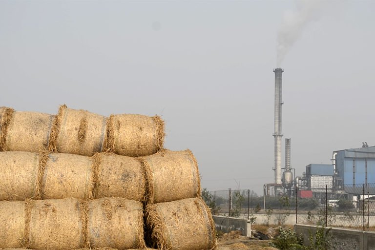 हरियाणा के गैर-सहायक फर्म में स्थित बैले भट्टों में धान की पराली आधारित बायोमास पेलेट की उपयोगिता अनिवार्य: राजेश नागा