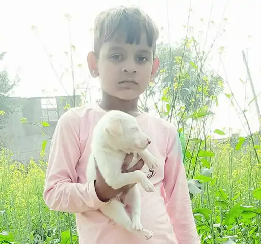 Gurugram Murder: गुरुग्राम में 7 साल के बच्चे की किडनैप के बाद हत्या, KMP एक्सप्रेसवे किनारे मिला शव