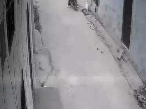 ਅੰਮ੍ਰਿਤਸਰ ‘ਚ ਚੱਲੀਆਂ ਗੋਲੀਆਂ, ਬਦਮਾਸ਼ਾਂ ਨੇ ਨੌਜਵਾਨ ‘ਤੇ ਕਈ ਰਾਊਂਡ ਕੀਤੇ ਫਾਇਰ, ਜਾਣੋ ਪੂਰਾ ਮਾਮਲਾ