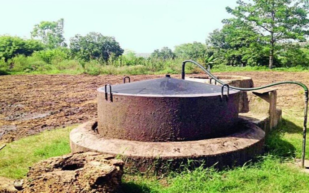 हरियाणा मंत्री का बड़ा बयान, सभी गौशालाओं में स्थापित करेंगे गोबर गैस प्लांट, गोबर से ही बनेंगे पेंट