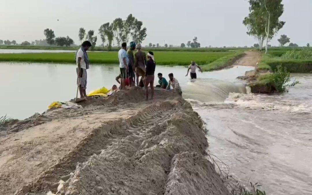 ਉਫਾਨ ‘ਤੇ ਵੱਗ ਰਹੀ ਸਤਲੁਜ ਦਰਿਆ, ਕਈ ਪਿੰਡਾਂ ‘ਚ ਤਬਾਹ ਹੋਈਆਂ ਫ਼ਸਲਾਂ, ਲੋਕਾਂ ‘ਚ ਸਹਿਮ ਦਾ ਮਾਹੌਲ