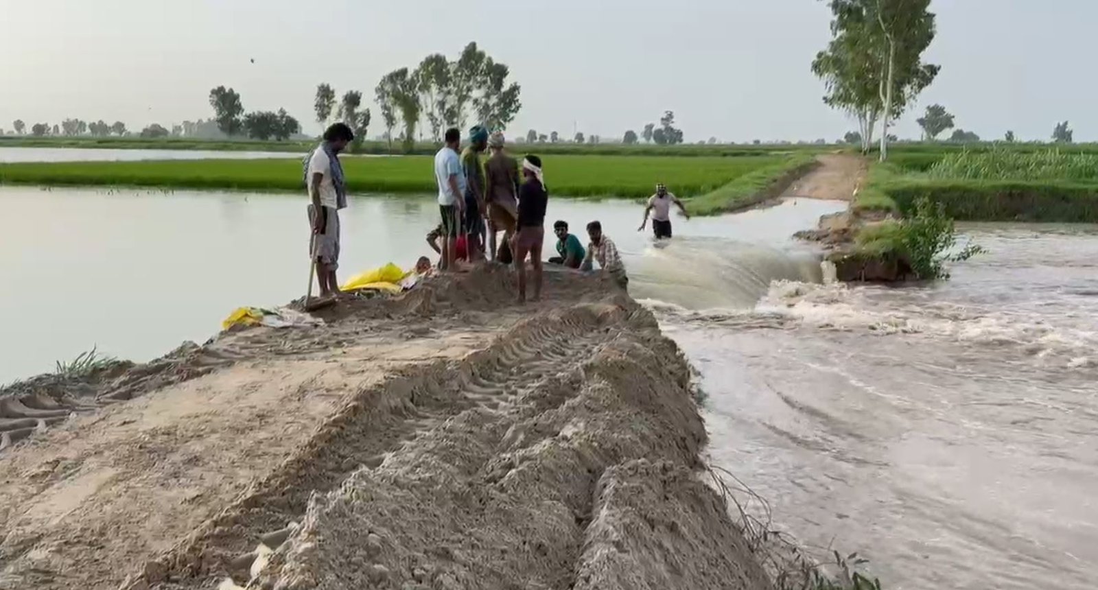 ਉਫਾਨ ‘ਤੇ ਵੱਗ ਰਹੀ ਸਤਲੁਜ ਦਰਿਆ, ਕਈ ਪਿੰਡਾਂ ‘ਚ ਤਬਾਹ ਹੋਈਆਂ ਫ਼ਸਲਾਂ, ਲੋਕਾਂ ‘ਚ ਸਹਿਮ ਦਾ ਮਾਹੌਲ