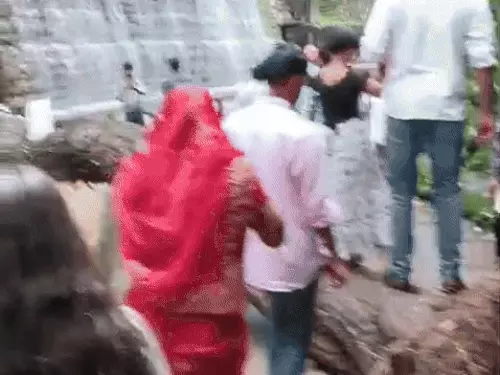 ਵੱਡਾ ਹਾਦਸਾ ਟਲਿਆ! ਚੰਡੀਗੜ੍ਹ Rock Garden ‘ਚ ਭਾਰੀ ਮੀਂਹ ਕਾਰਨ ਡਿੱਗਿਆ ਪੁਰਾਣਾ ਦਰੱਖਤ,ਵਾਲ-ਵਾਲ ਬਚੇ ਸੈਲਾਨੀ