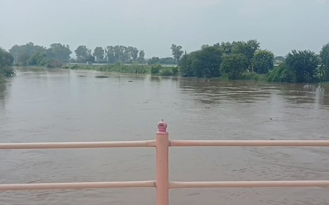 ਘੱਗਰ ਨਦੀ ਦੇ ਪਾਣੀ ਦਾ ਪੱਧਰ ਵਧਿਆ: ਮੋਹਾਲੀ ਜ਼ਿਲ੍ਹਾ ਪ੍ਰਸ਼ਾਸਨ ਨੇ ਜਾਰੀ ਕੀਤਾ ਅਲਰਟ