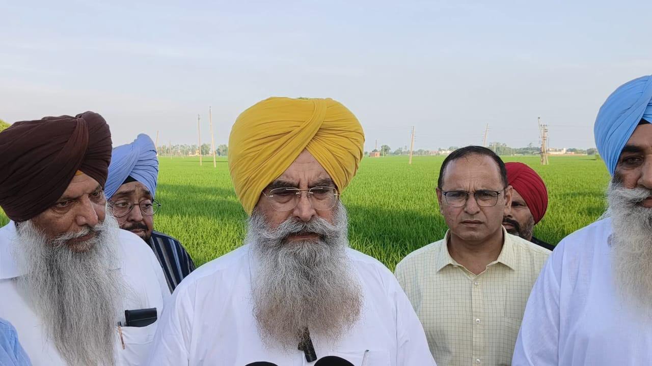 ਗੁਰਮੀਤ ਸਿੰਘ ਖੁੱਡੀਆਂ ਨੇ ਦਿੱਤੀ ਅਹਿਮ ਜਾਣਕਾਰੀ, ਸਾਉਣੀ ਦੀ ਮੱਕੀ ਹੇਠ ਰਕਬੇ ‘ਚ ਹੋਇਆ 16.27 ਫ਼ੀਸਦੀ ਦਾ ਇਜ਼ਾਫ਼ਾ