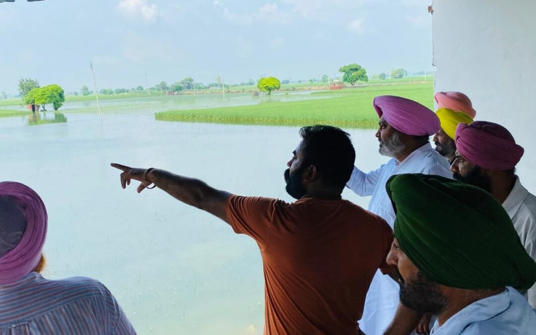 ਵਿੱਤ ਮੰਤਰੀ ਨੇ ਖਨੌਰੀ ਵਿਖੇ ਘੱਗਰ ਦਰਿਆ ਦਾ ਲਿਆ ਜਾਇਜ਼ਾ, ਘੱਗਰ ‘ਚ ਪਾਣੀ ਦਾ ਪੱਧਰ 743.7 ਫੁੱਟ ‘ਤੇ, ਸਥਿਤੀ ਪੂਰੀ ਤਰ੍ਹਾਂ ਕਾਬੂ ‘ਚ