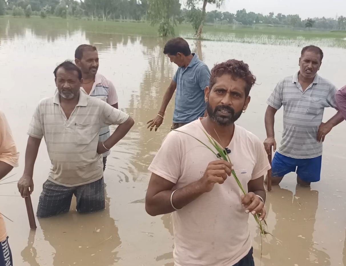 ਸਰਹੱਦੀ ਪਿੰਡਾਂ ’ਚ ਮੁੜ ਹੜ੍ਹ ਨੇ ਮਚਾਈ ਤਬਾਹੀ , ਪਿੰਡ ਰਾਮ ਸਿੰਘ ਭੈਣੀ ਅਤੇ ਆਸਪਾਸ ਦੀ 250 ਏਕੜ ਫ਼ਸਲ ਬਰਬਾਦ