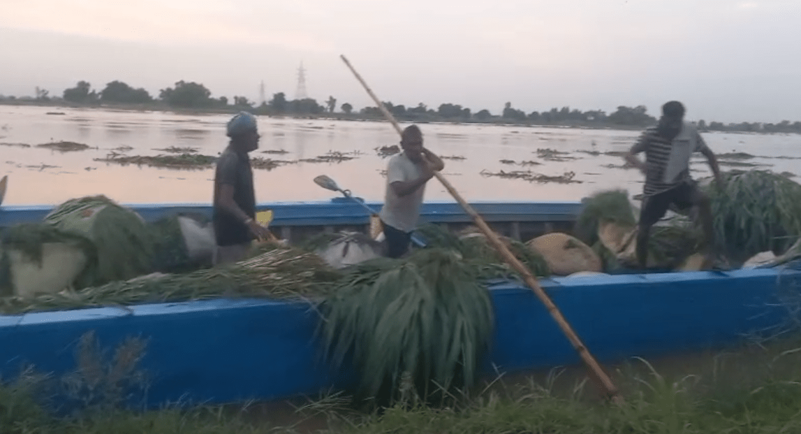 ਫਿਰੋਜ਼ਪੁਰ ‘ਚ ਵੱਡਾ ਹਾਦਸਾ ਟਲਿਆ: ਸਤਲੁਜ ਦਰਿਆ ਪਾਰ ਕਰਕੇ ਵਾਪਸ ਆ ਰਹੇ 50 ਦੇ ਲਗਭਗ ਕਿਸਾਨਾਂ ਨੂੰ ਰੈਸਕਿਊ ਕਰ ਬਚਾਇਆ ਗਿਆ