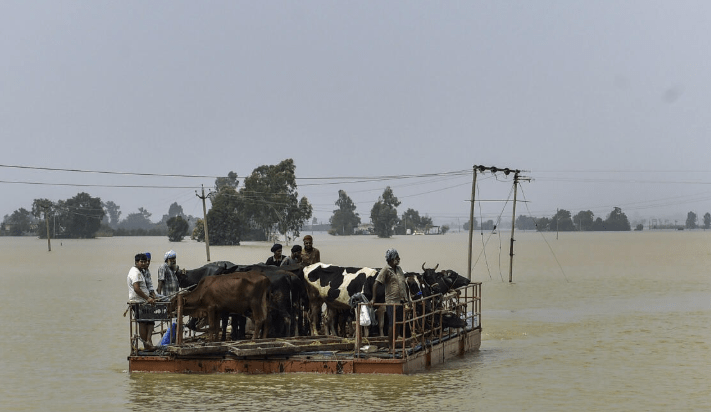 PunjabFloods2025: ਸਿਆਸੀ ਪਾਰਟੀਆਂ ਨੇ ਕੇਂਦਰ ਸਰਕਾਰ ਤੋਂ ਮੰਗਿਆ ਵਿਸ਼ੇਸ਼ ਰਾਹਤ ਪੈਕੇਜ