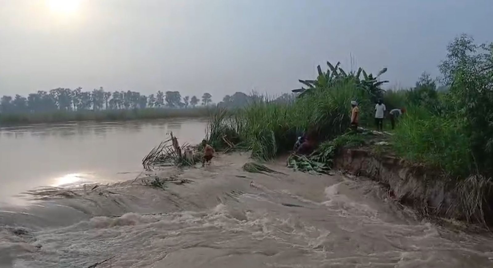 ਆਰਜ਼ੀ ਬੰਨ੍ਹ ਟੁੱਟਣ ਕਾਰਨ ਡੁੱਬਿਆ ਮੰਡ ਖੇਤਰ, ਕਿਸਾਨਾਂ ਦੀ ਹਜ਼ਾਰਾਂ ਏਕੜ ਝੋਨੇ ਦੀ ਫ਼ਸਲ ਤਬਾਹ